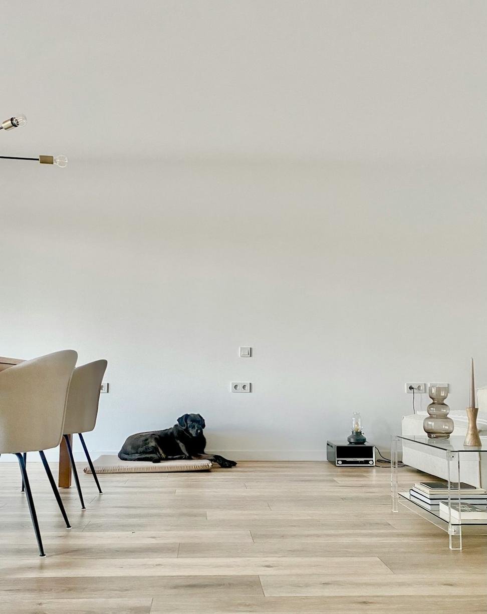 Minimalist Urban Loft